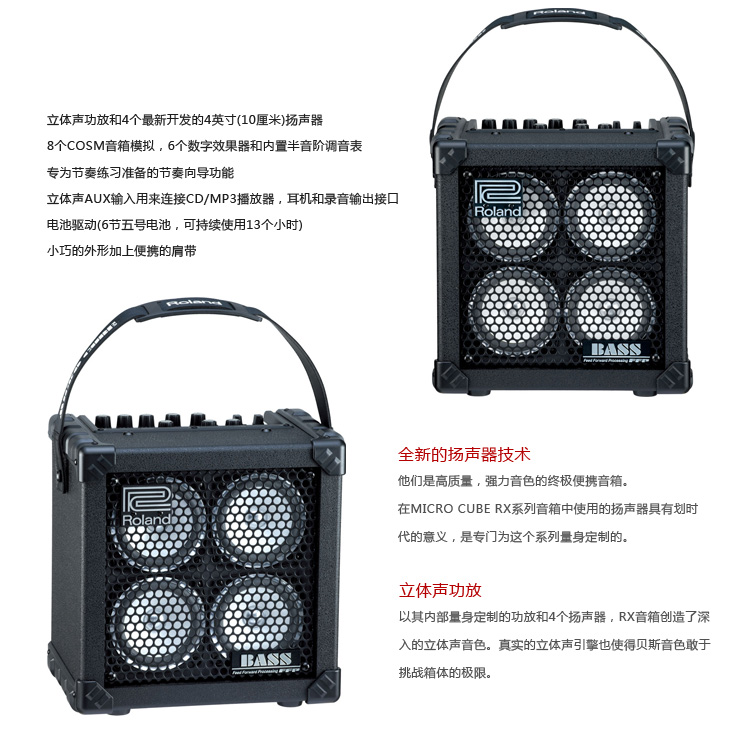 MICRO CUBE BASS RX