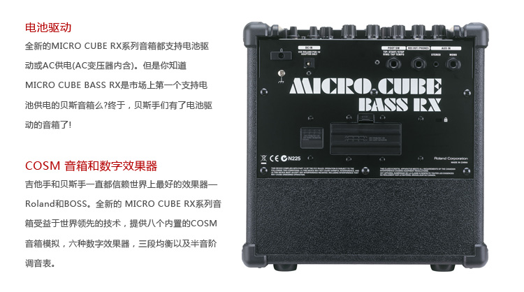 MICRO CUBE BASS RX
