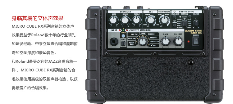 MICRO CUBE BASS RX