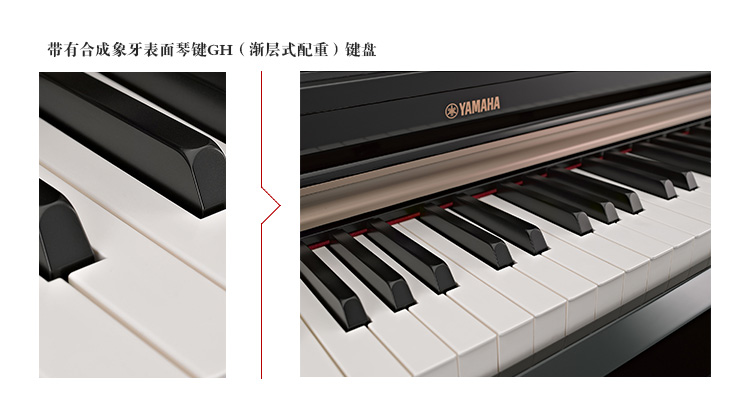 YDP-162PE