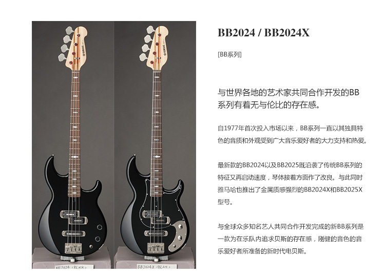 BB2024X