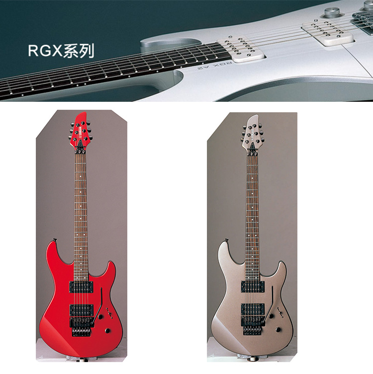 RGX220DZ
