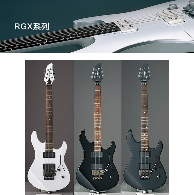 RGX420DZII