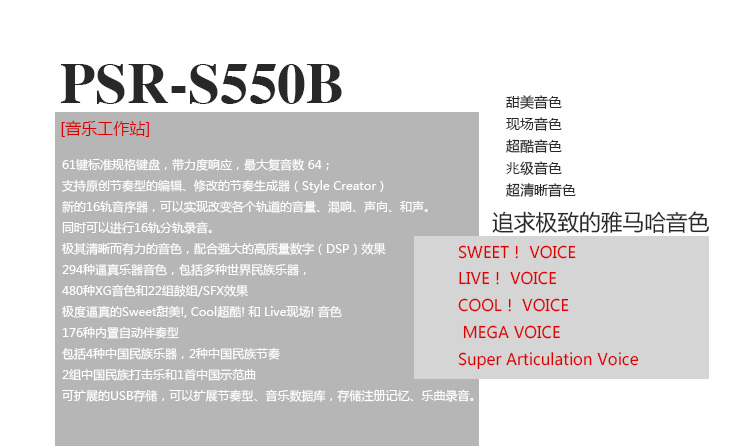 PSR-S550B