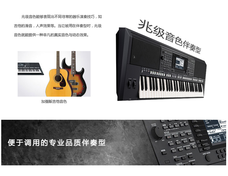 PSR-S750