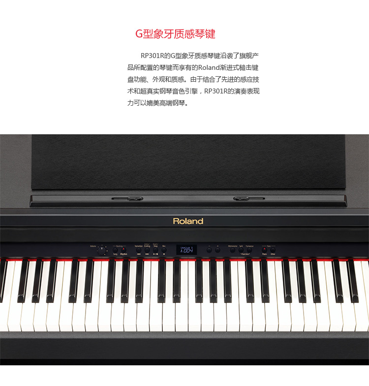 RP-301R