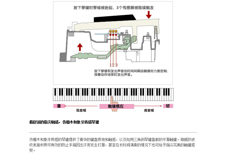AP-658MBK