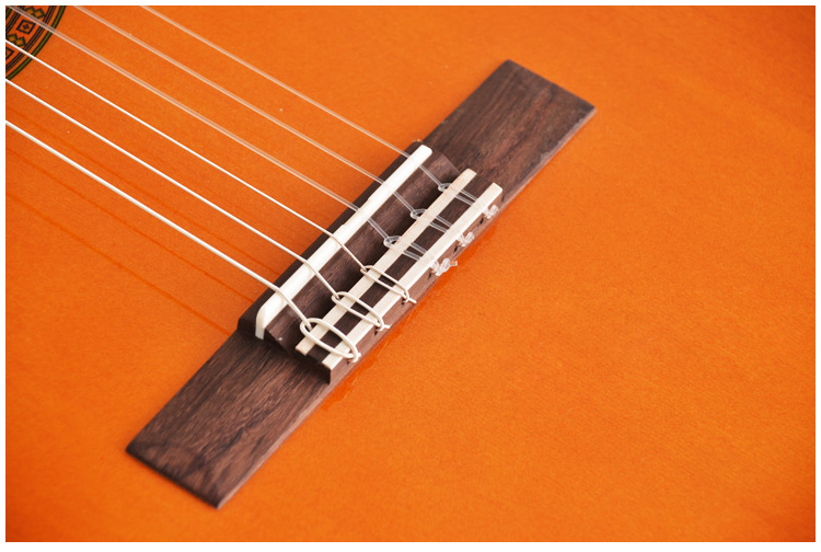 CGS102A