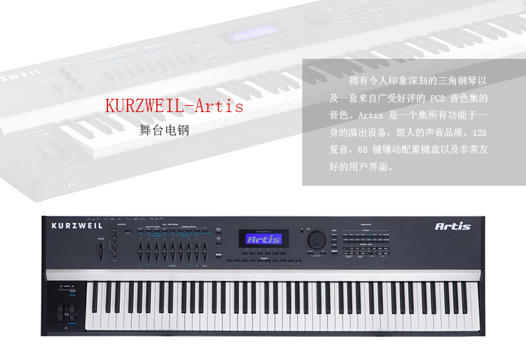 KURZWEIL Artis